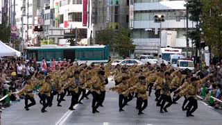 【公式】いなっせ_東京よさこい2018_アゼリア通り会場