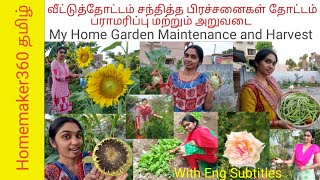 வீட்டுத்தோட்டம் பராமரிப்பு மற்றும் அறுவடை  | Maintaining My Garden and Harvest | Garden Tour