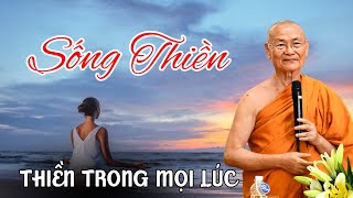 Hiểu Đúng Về Thiền: Sống Chân Thực và Ứng Dụng Trong Đời Sống | HT. Viên Minh