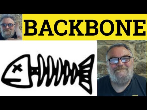 What does it mean when someone says you have a backbone?