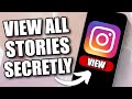 How to See Instagram Stories WITHOUT Letting Them Know (2024)