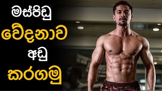 Muscle Soreness \u0026 Recovery TIPS 🔥 Atheeq Anvario FITNESS  TIPS In Sinhala | NUTRITION LK