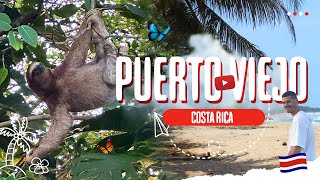 PUERTO VIEJO 🇨🇷 I OVERAL SLOTHS!! ONZE LAATSTE WEEK IN COSTA RICA 🦥 REISVIDEO #20