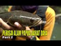 PERISAI ALAM PAPUA BARAT DAYA | JEJAK PETUALANG (24/05/23) Part 2