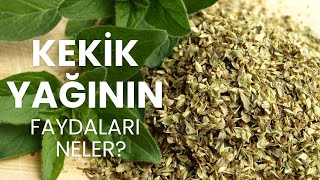 Kekik Yağının Faydaları Neler? #ModernAktar #KekikYağı