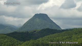 黄金山とイチイの木 Mt. Kogane and yew tree