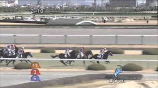 2011年2月26日 阪神4R 障害未勝利 マルイチシンゲキ