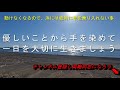 12 25　煙樹ヶ浜釣り情報・取材編【第1198回】元の脇磯浜は水温が15度まで低下しました。＃水温低下 ＃遠投カゴ釣り 和歌山釣り 煙樹ヶ浜