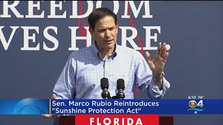 Sen. Marco Rubio reintroduces \