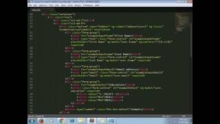 Client Side Validations Using AngularJS