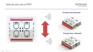 Webinar: PTM - the heart of the switch