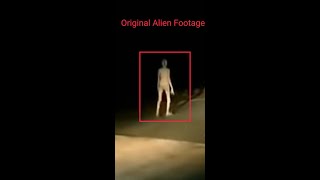 Alien in Jharkhand, India on 31.05.2021