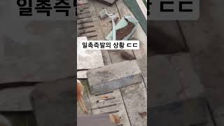 일촉즉발 상황 ㄷㄷㄷ (구독하면 진짜 여친생김♡)