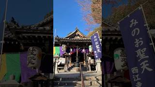 【ぶらり旅】紅葉と椿で知られる聖天宮西江寺に行ってきた！