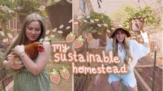 creating my ✨DREAM✨  sustainable homestead + second hand finds & zero waste emergency kit