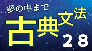 🔰基本🔰【おやすみ前のひと時に】夢の中まで古典文法２８【王道中の王道の識別】