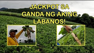 JACKPOT SA GANDA NG AKING LABANOS!