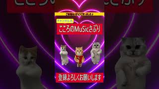 「めっちゃかわいい猫ミーム集🐾 乗り物に乗る猫＆踊る猫が最高！」 #shorts