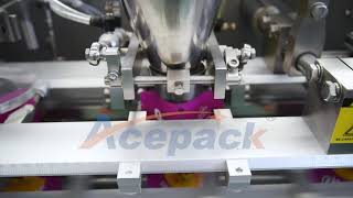 Shanghai Acepack SG-180Z filling packing machine with zipper function