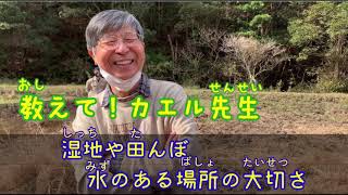 教えて！カエル先生〜湿地や田んぼの大切さ〜