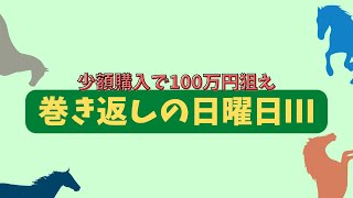 9/11【WIN5予想】セントウルステークス、京成杯オータムハンデ他3レース【競馬】