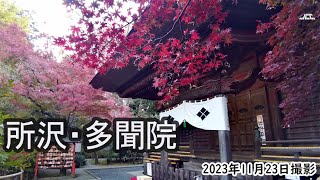 【4K】所沢・多聞院の紅葉（2023年11月23日）