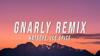 Ice Spice Gnarly Lyrics Mp3 Music & Mp4 video downloads