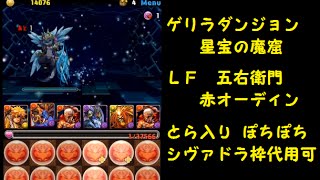 【 ゲリラダンジョン 】 星宝の魔窟 LF 五右衛門 赤おでん  高速 周回  とら入り  赤おでん１体持ち用