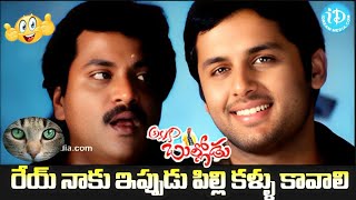 రేయ్ నాకు ఇప్పుడు పిల్లి కళ్ళు కావాలి .! Allari Bullodu Nithin Sunil Comedy Scene