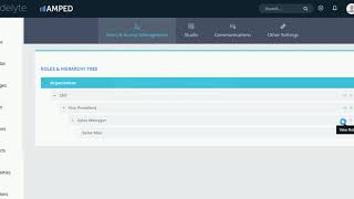 Structure Role Management | AMPED CRM ADMIN