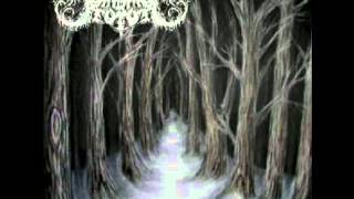 Sombres Forêts - Le Royaume