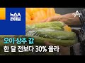 [경제 톡톡톡]오이·상추 값 한 달 전보다 30% 올라 | 뉴스A 라이브