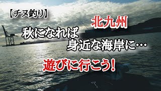 【チヌ釣り】『太刀浦海岸』天高く馬肥ゆる初秋のチヌ釣り。エサ取りだられで悪戦苦闘！