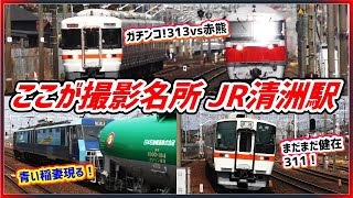 【絶景撮影ポイント】JR東海清洲駅で迫りくる列車達をズームで捉えてみた！313系、311系、キハ85系、681系そしてJR貨物の機関車たちも大迫力で通過していく！