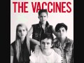 Teenage Icon - The Vaccines