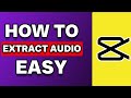 How To Extract Audio In Capcut PC (Easy)