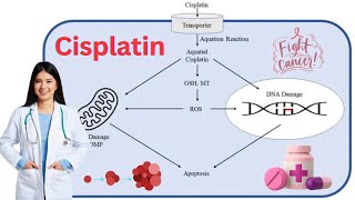 Discover Cisplatin: The Powerful Anti-Cancer Drug You Need to Know (21 Minutes)