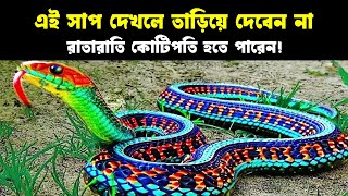 এই সাপ দেখলে তাড়িয়ে দেবেন না, রাতারাতি কোটিপতি হতে পারেন! Knowledgeable information video