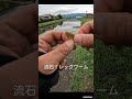 【バス釣り】ダウンショットの前にノーシンカーやってみたら…すぐだった！