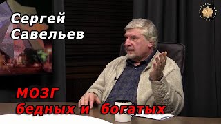 С.В. Савельев - Мозг бедных и богатых