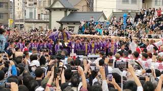 松山秋祭り2023本宮 道後鉢合わせ喧嘩神輿 小唐人大神輿 vs 北小唐人大神輿