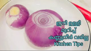 Kitchen tips \u0026 cleaning tips II usefull kitchen cleaning tips II കുറച്ച് അടുക്കള രഹസൃം കാണാം