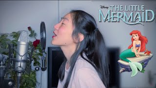 Part of your World - Indonesia Version  (The Little Mermaid OST)