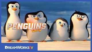 [] First Four and a Half Minutes | PENGUINS OF MADAGASCAR