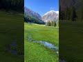 janshae meadows kalam swat valley