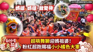 超萌舞獅迎媽祖婆！　粉紅超跑賜福小小橘色大軍 @ChinaTimes