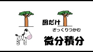 直感の数学　図だけのざっくり微分積分