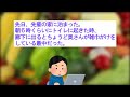 【2ch掃除まとめ】モチベアップスレpart1・掃除のやる気が出る話【有益】片付け断捨離ガル