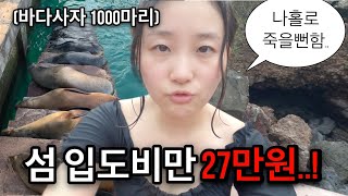 🇪🇨Ep.1 비싸서 못가는 갈라파고스 도착! 별명이 달러흡혈귀, 달러파고스..?💸 산크리스토발 에콰도르 여행