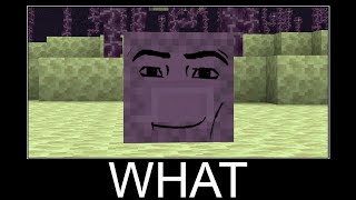 Minecraft WAIT WHAT meme 24/7 Livestream #1437Minecraft WAIT WHAT meme 24/7 Livestream #1431